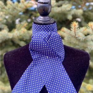 Equestrian Stock Tie Foxhunting Dressage Show Ring